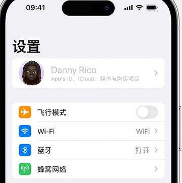 西宁appleID维修服务iPhone设置中Apple ID显示为灰色无法使用 