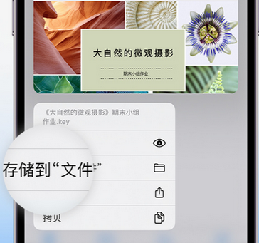 西宁apple维修中心分享iPhone文件应用中存储和找到下载文件