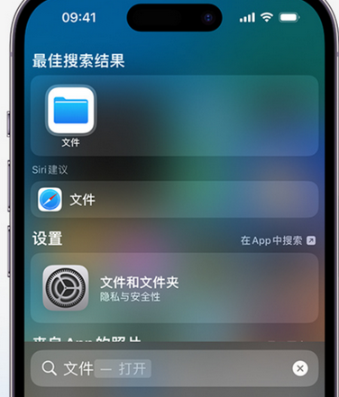 西宁apple维修中心分享iPhone文件应用中存储和找到下载文件 