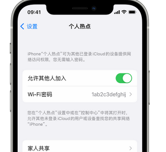 西宁apple服务站点分享iPhone上个人热点丢失了怎么办 