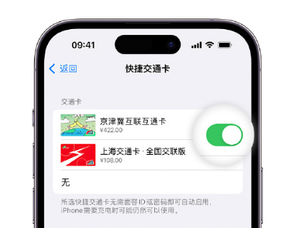 西宁apple维修点分享iPhone上更换Apple Pay快捷交通卡手绘卡面 