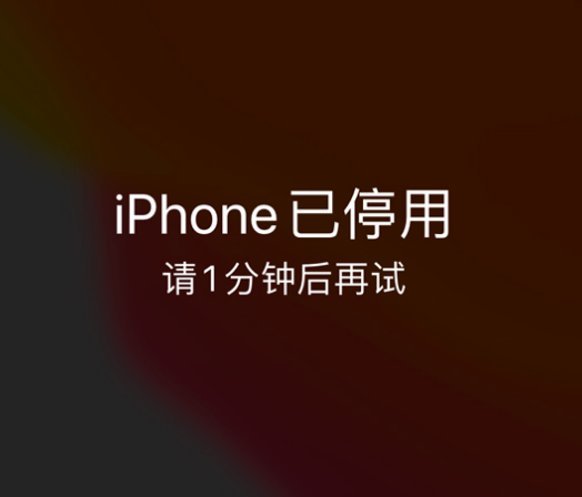 西宁苹果手机维修分享:iPhone 显示“不可用”或“已停用”怎么办？还能保留数据吗？ 