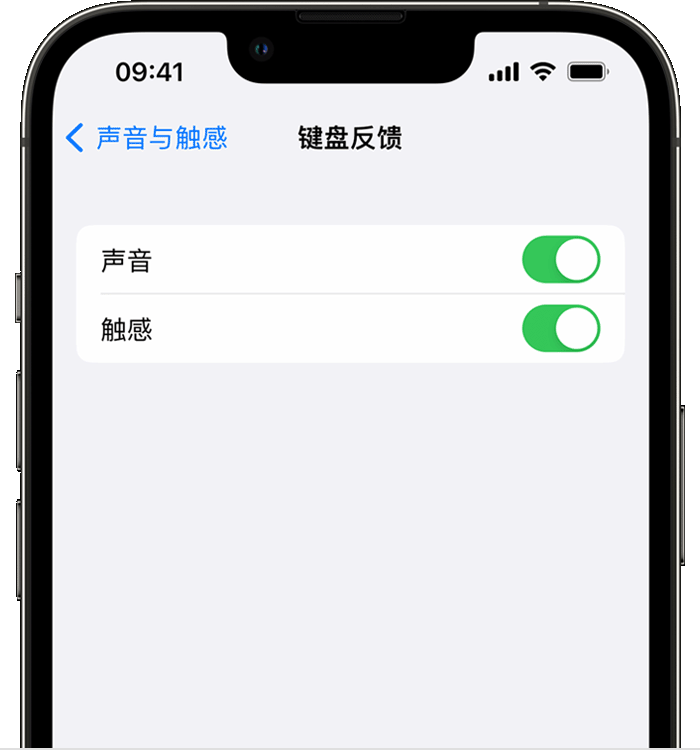 西宁苹果14维修店分享如何在 iPhone 14 机型中使用触感键盘 