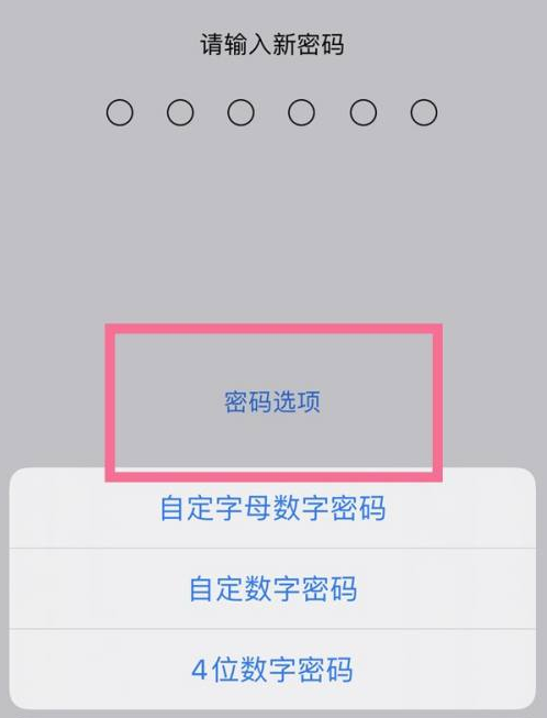 西宁苹果14维修分享iPhone 14plus设置密码的方法 