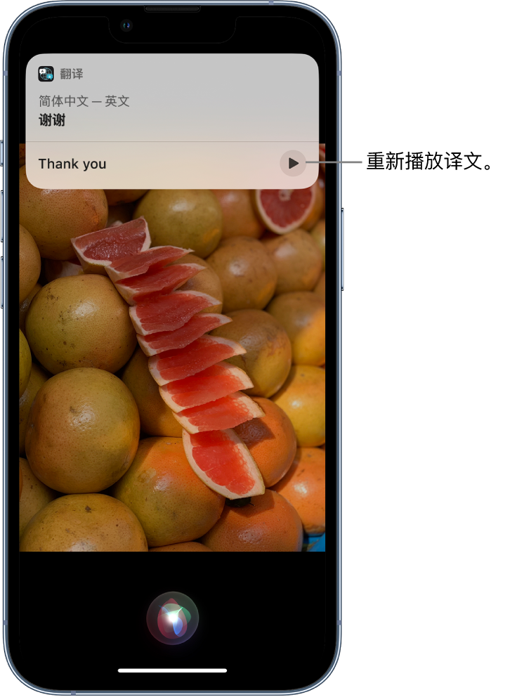 西宁苹果14维修分享 iPhone 14 机型中使用 Siri：了解 Siri 能帮你做什么 