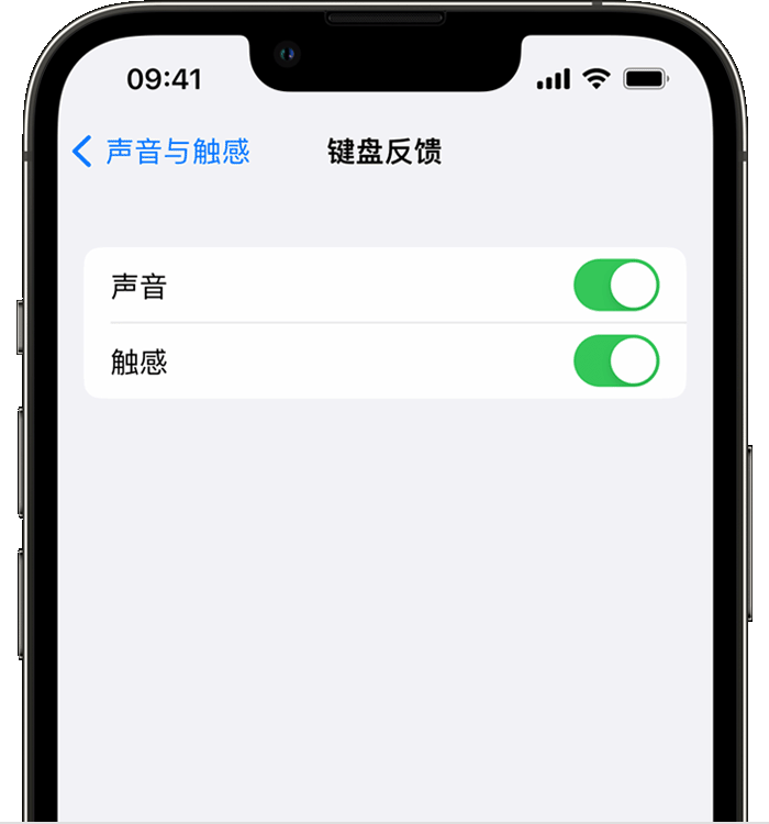 西宁苹果14维修分享iPhone 14 系列机型如何开启键盘声音或触感反馈 