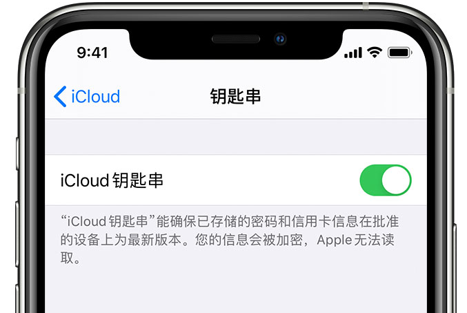 西宁苹果手机维修分享在 iPhone 上开启 iCloud 钥匙串之后会储存哪些信息 