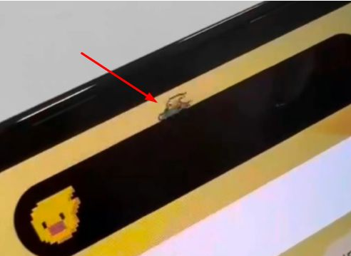 西宁苹果14维修分享iPhone 14 Pro Max灵动岛怎么养宠物 