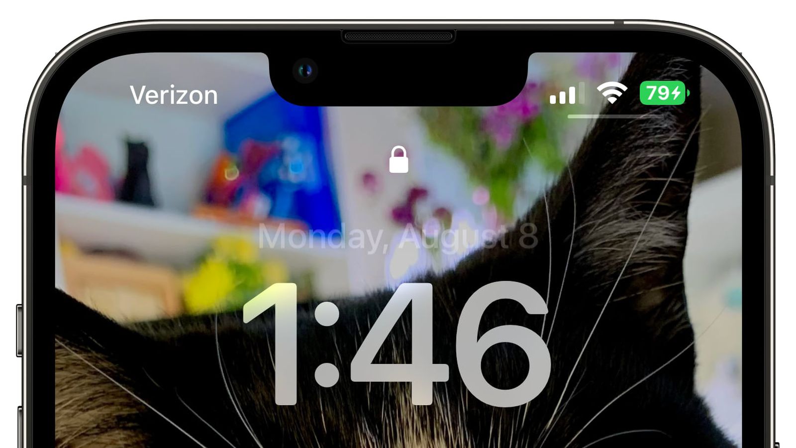 西宁苹果手机维修分享iOS 16 beta 5 支持状态栏显示电池百分比，如何开启？支持哪些机型 