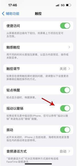 西宁苹果手机维修分享iPhone手机如何设置摇一摇删除文字 